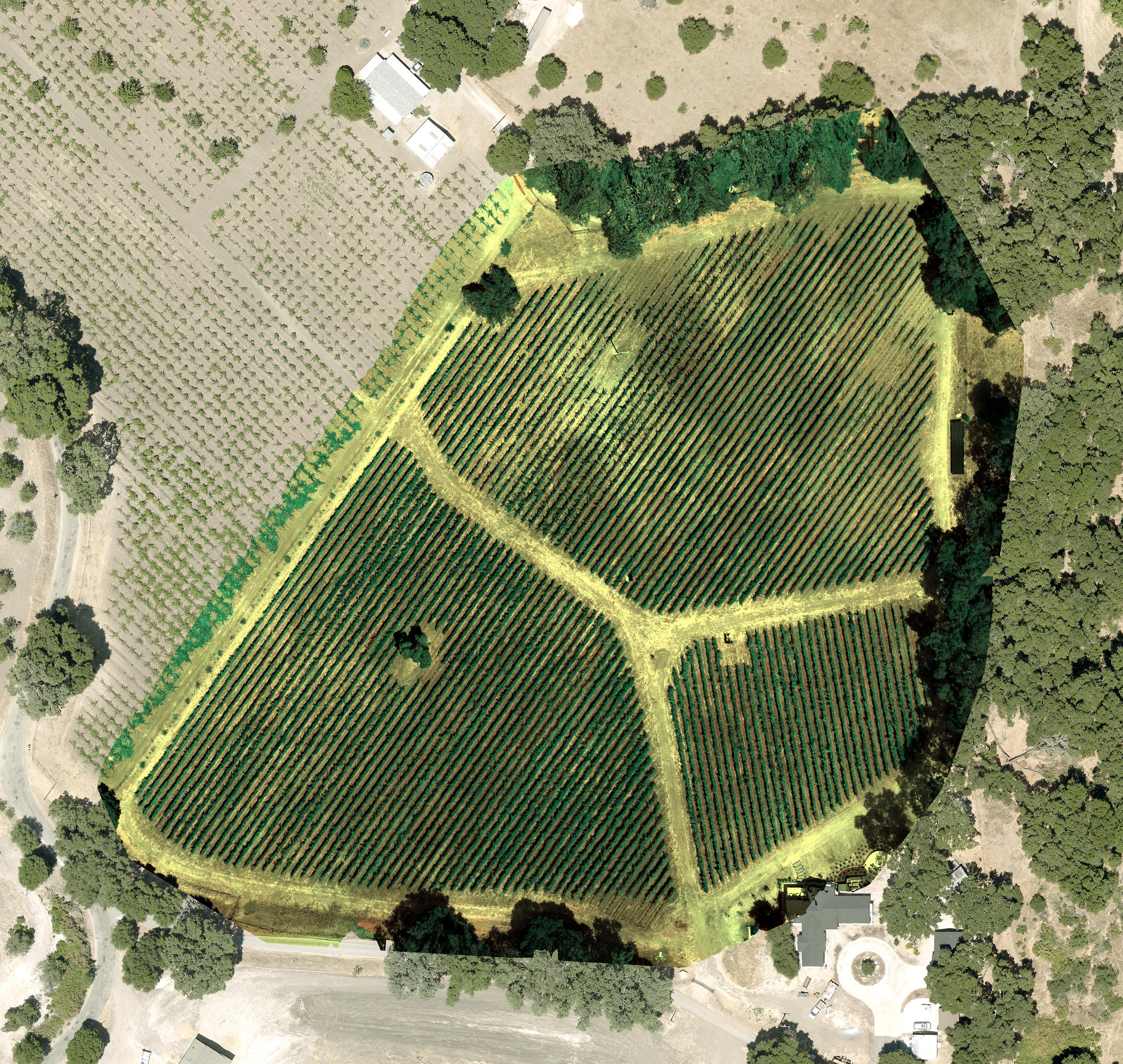 High-resolution aerial photo of a vineyard