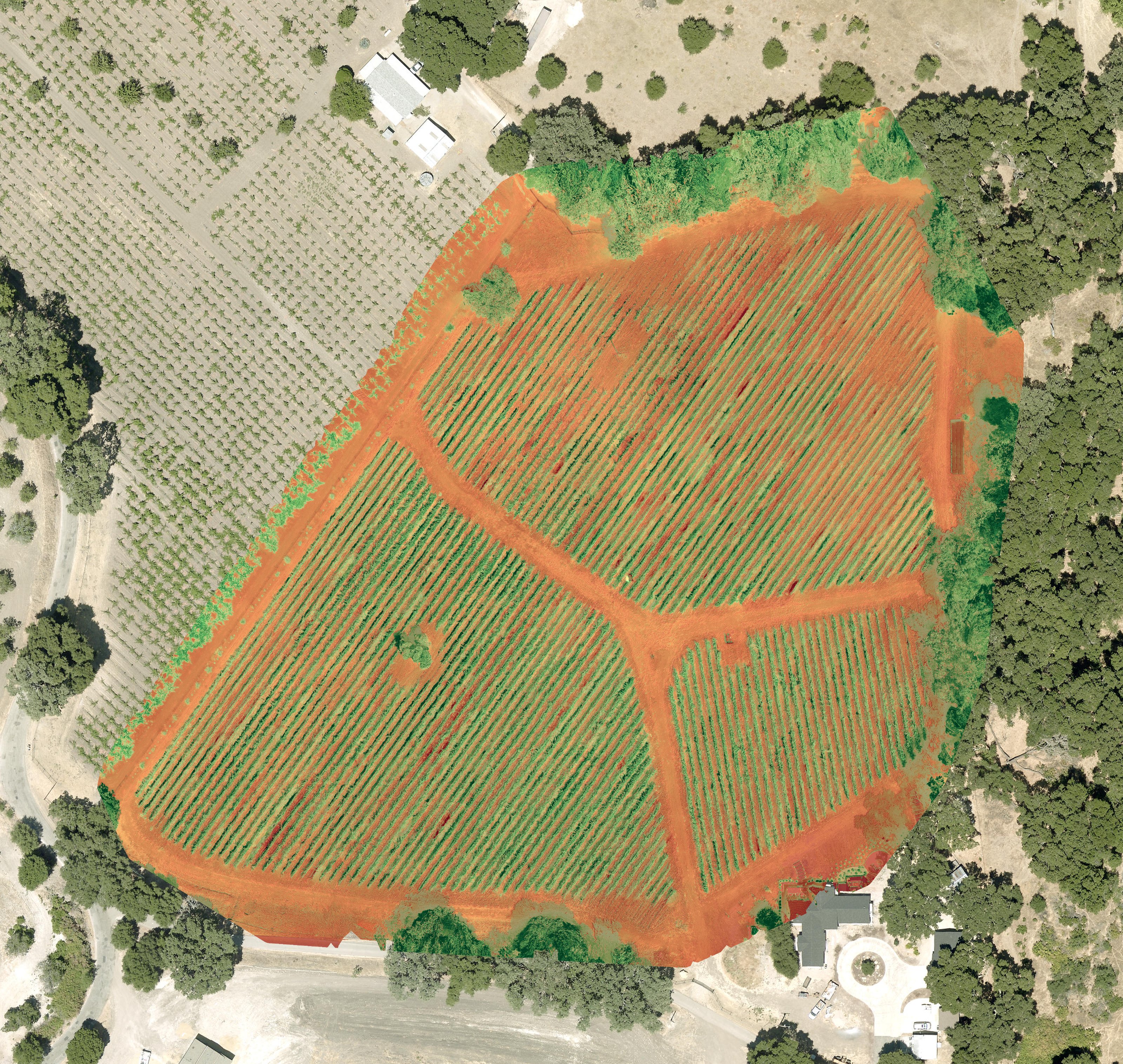 LCI leaf-chlorophyll view of the same vineyard
