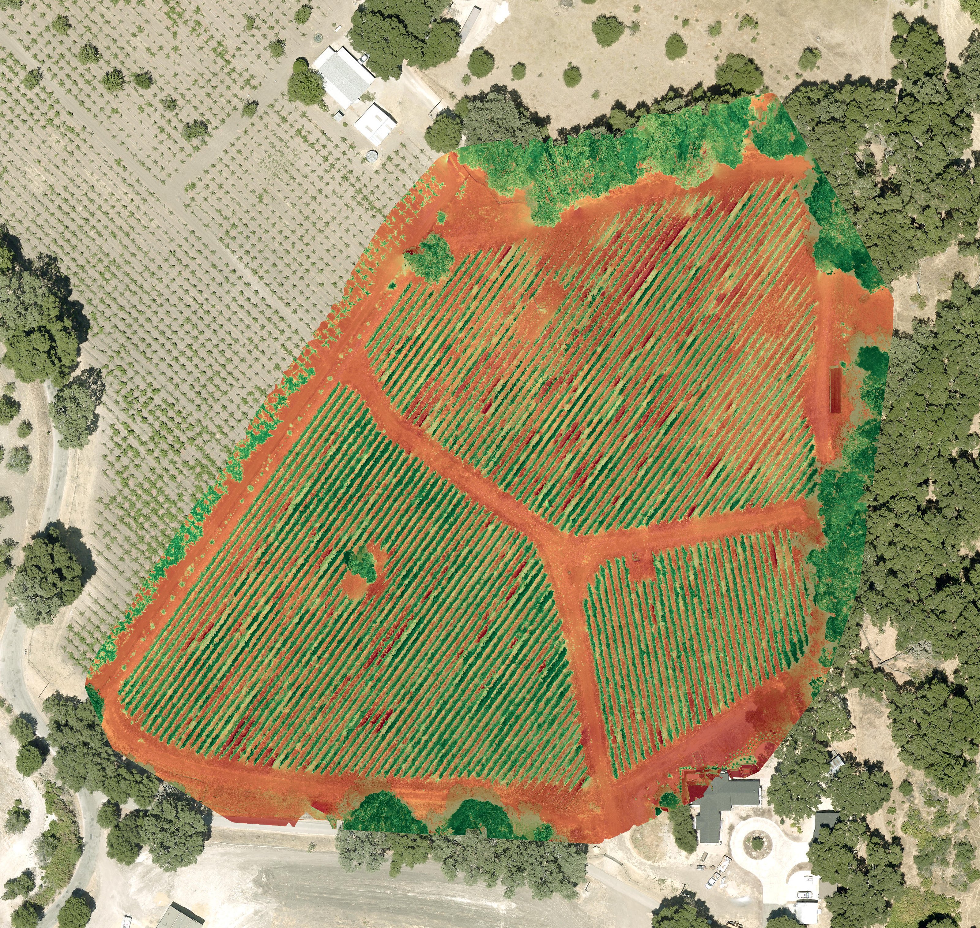 NDVI crop-health view of the same vineyard